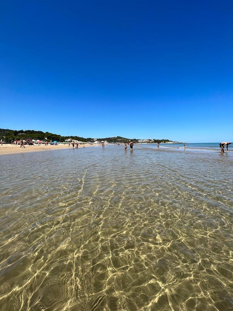 Appartamenti Le Porte Del Gargano Vieste Luaran gambar